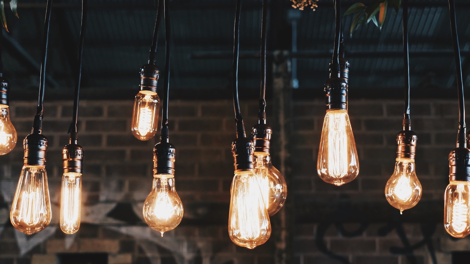 Lightbulb moments: A string of good ideas. (Photo by Patrick Tomasso on Unsplash)
